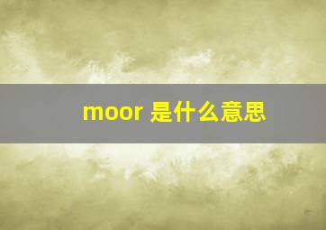 moor 是什么意思